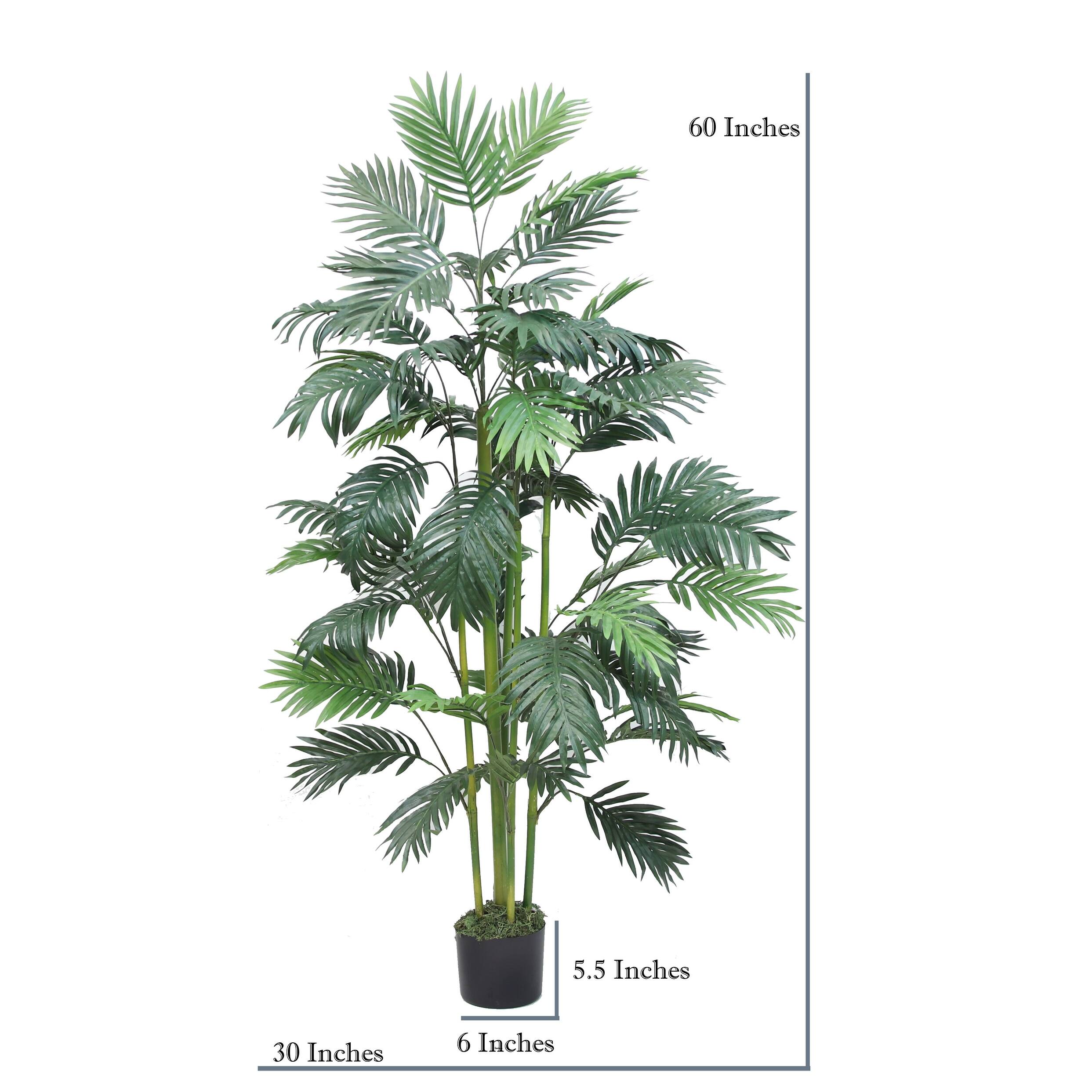 The Mod Greenhouse 60" Artificial Golden Palm Tree in Black Matte